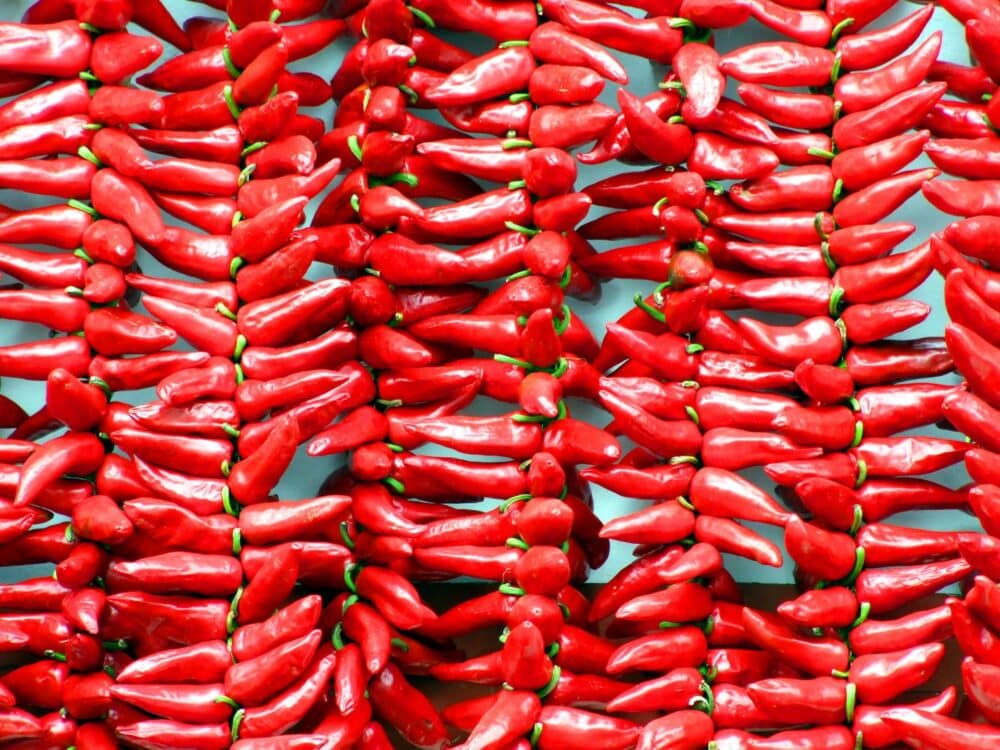 piment d'Espelette